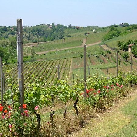 Cascina Rollone Villa Rocchetta Tanaro Buitenkant foto