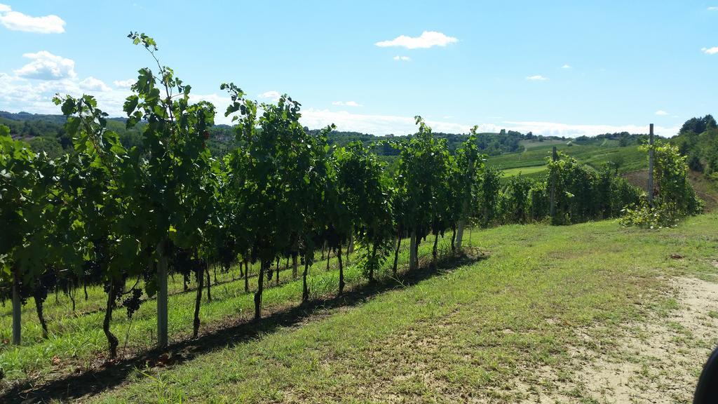 Cascina Rollone Villa Rocchetta Tanaro Buitenkant foto